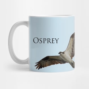 Osprey (Pandion haliaetus) Mug